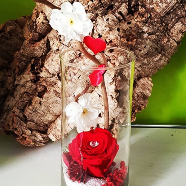 Rose stabilisé – Image 2
