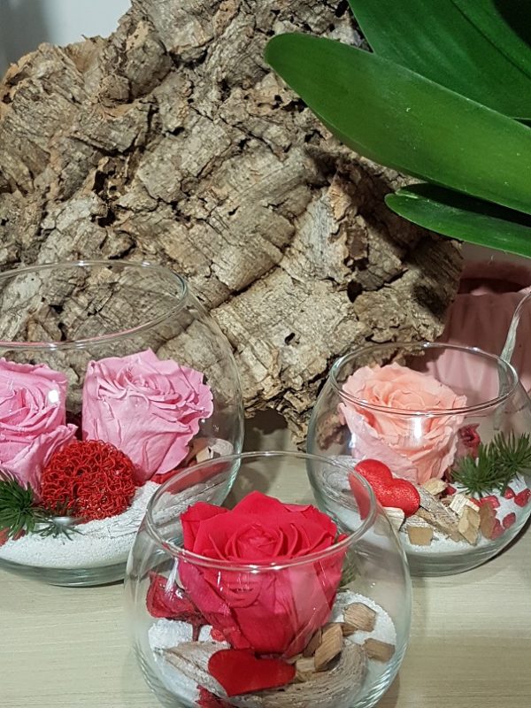 Rose stabilisé